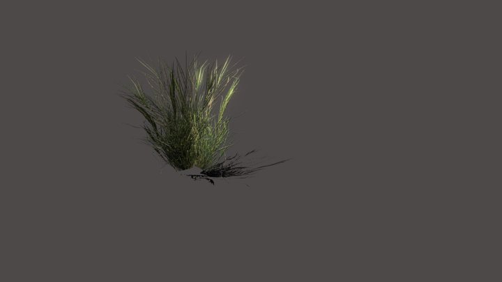 Grass 3D Model