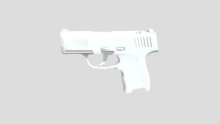 P365 3D Model