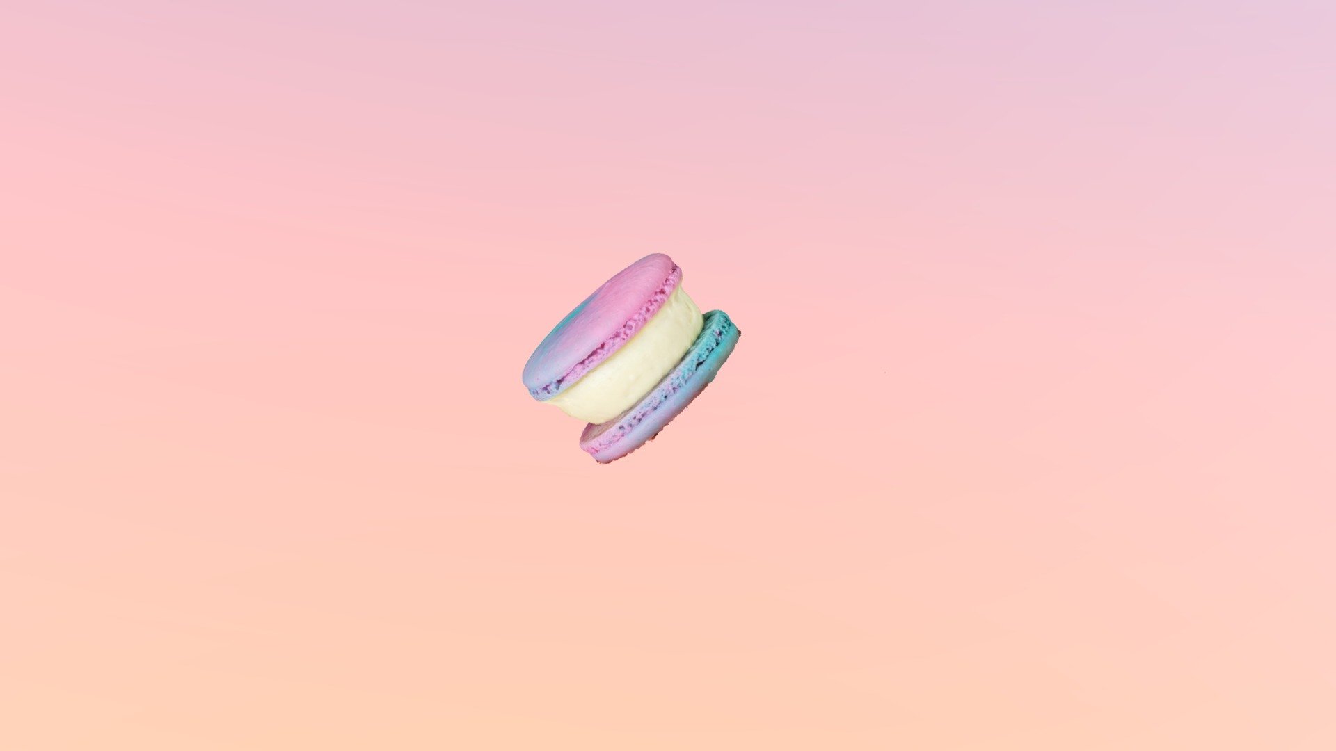 Salt & Vanilla macaron