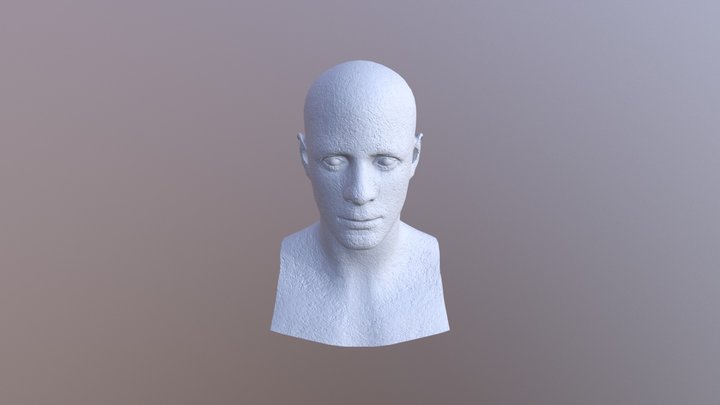 head.2 3D Model