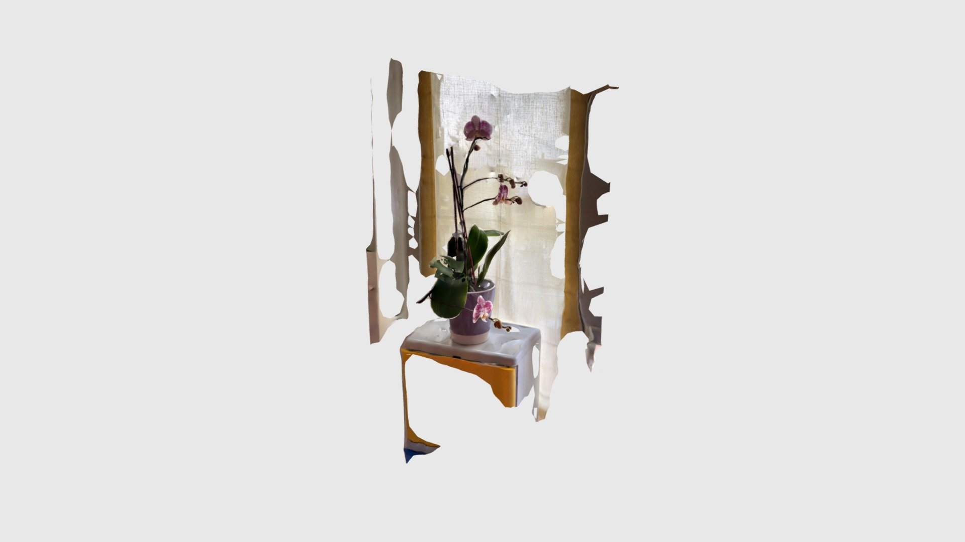 Orchid