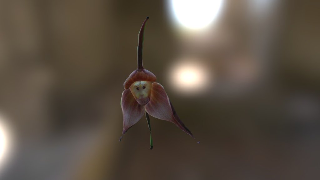 Smoothie-3D upload