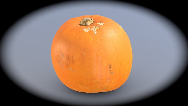 Pumpkin scan photogrammetry pbr 4k 5xLOD 3D Model