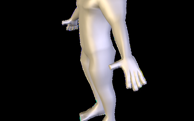 Body 3D Model