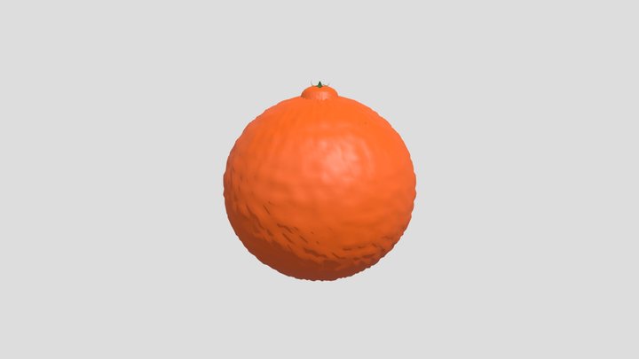 Orange 3D Model 3D Model