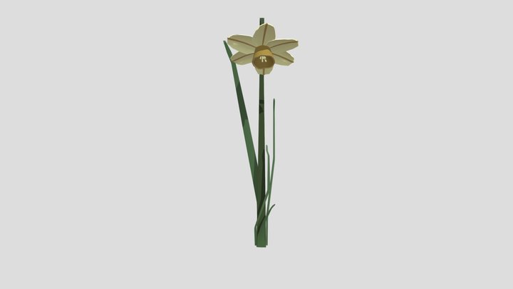 Daffodil_ Draft 3D Model