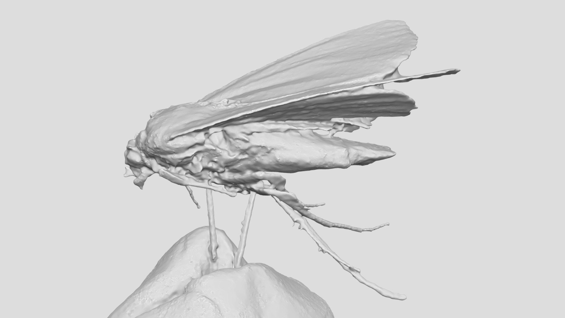 189 - Insect - Mini