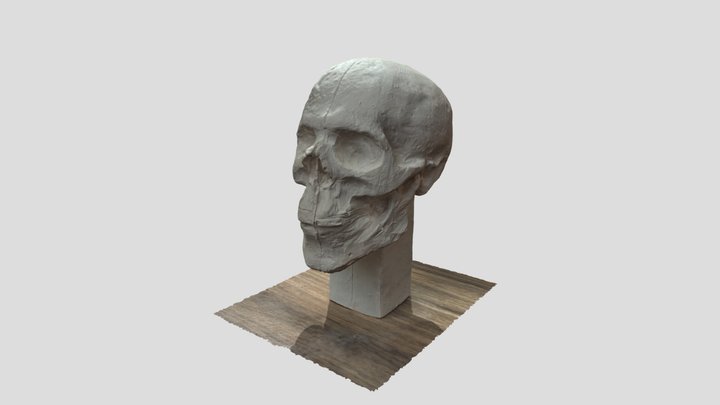 Lebka 3D Model