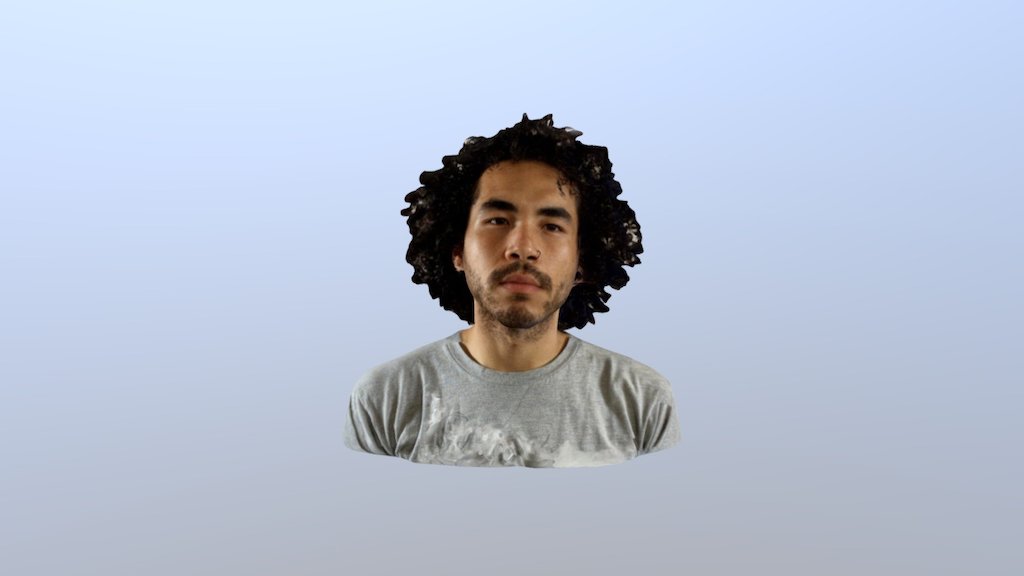 Bust