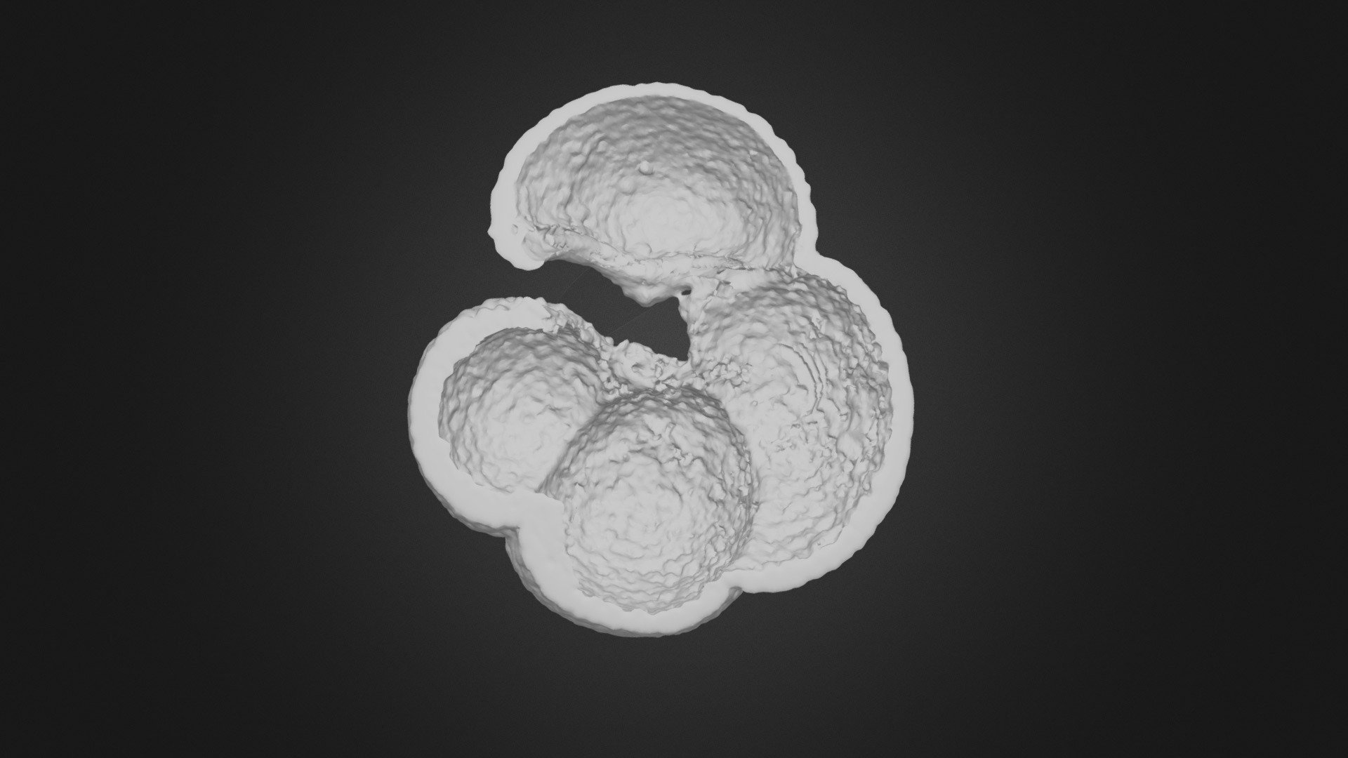 N. dutertrei 4.0km core