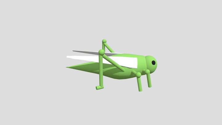 Cricket 3D Model
