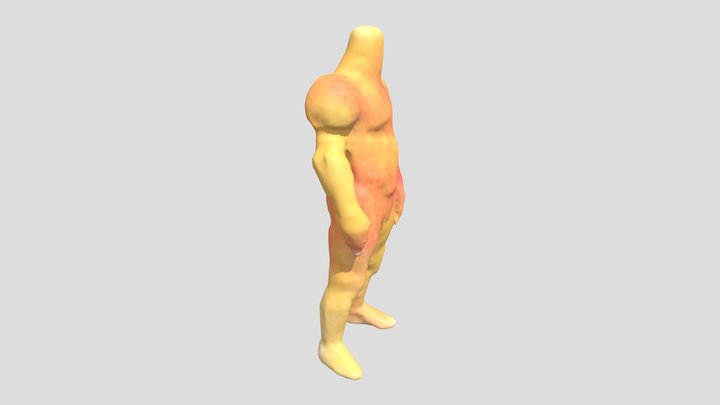 My model 3D Model