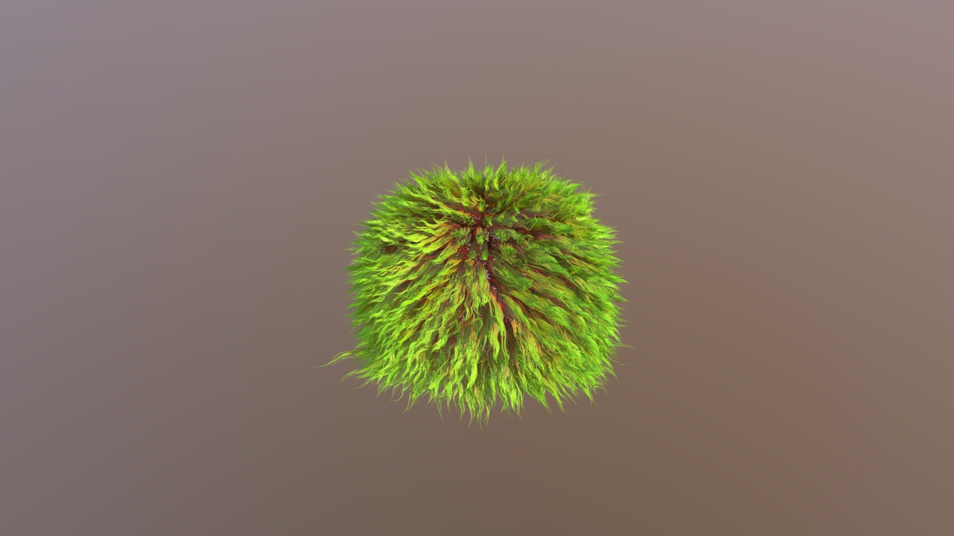 Cap Fur