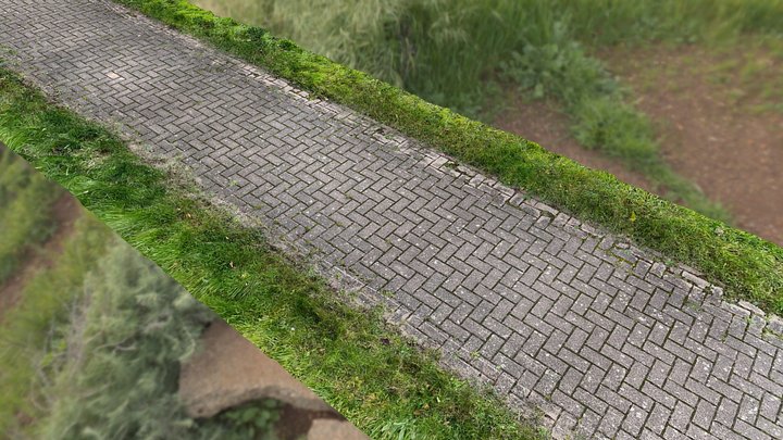 pavement in the park 3D Model