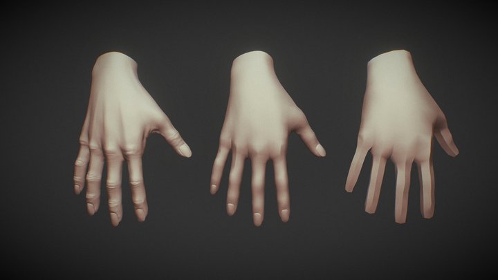 Female Hand 3D model 3D Model