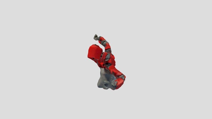 New Qlone 3D Model