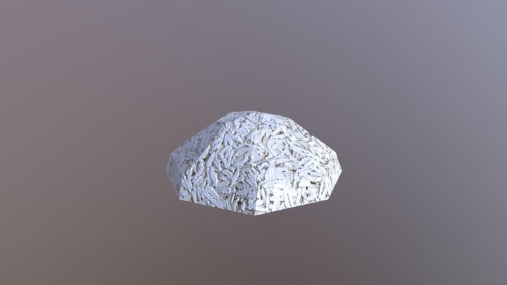 Rice raw 3D Model
