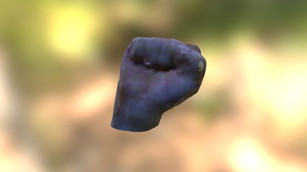 Hand Test - 3D model by ebubar [a95adcf] - Sketchfab