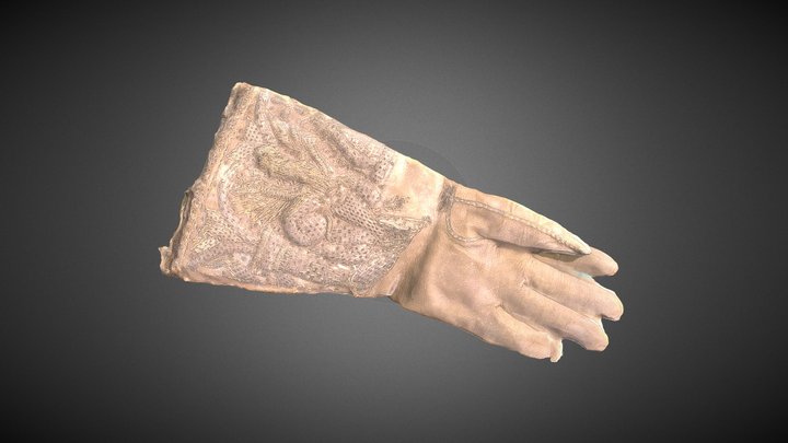 Peter Lowe's Glove 3D Model