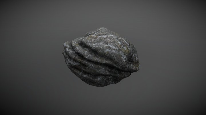Rock Model 3D Model