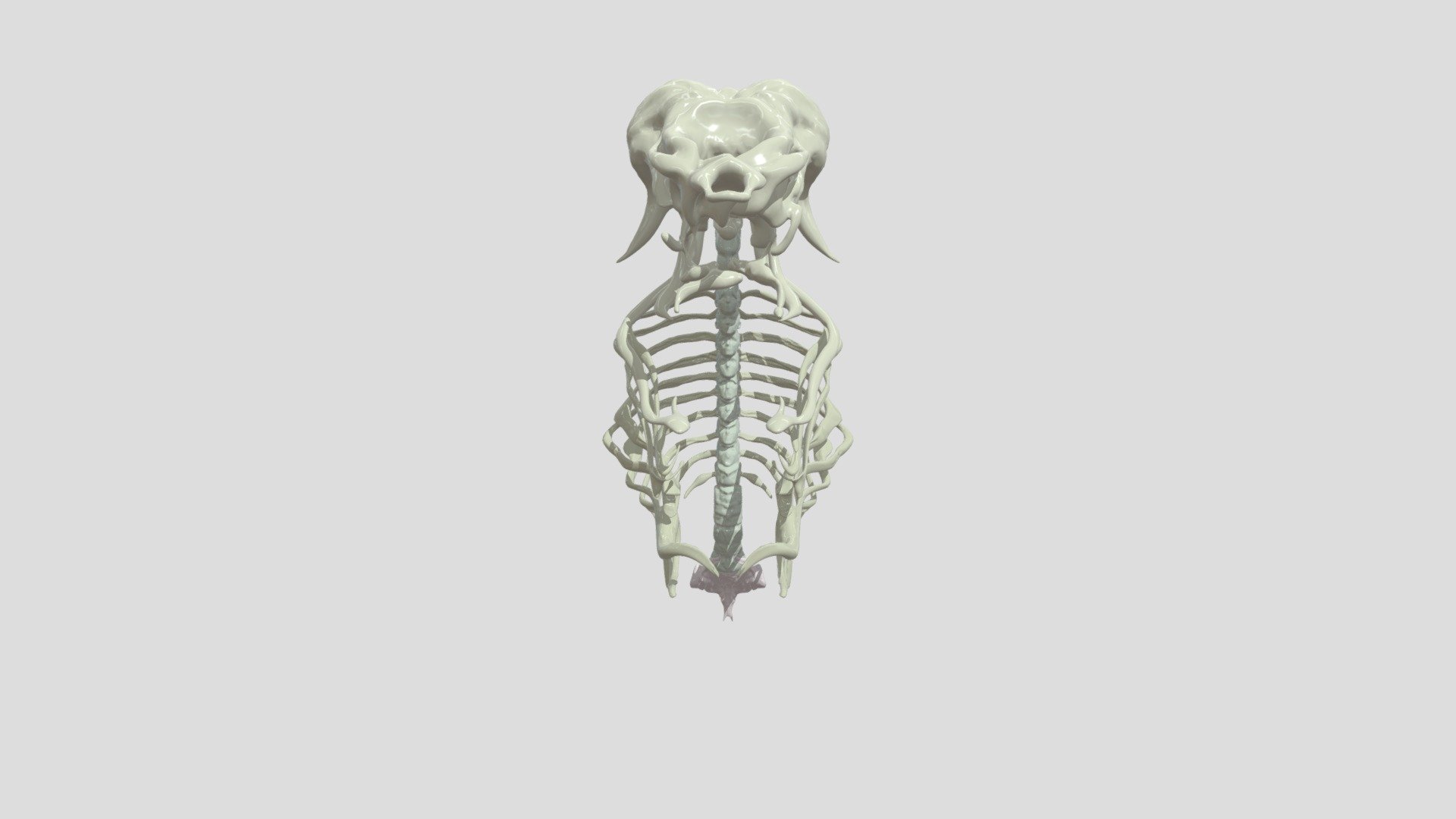 xtrux_bone