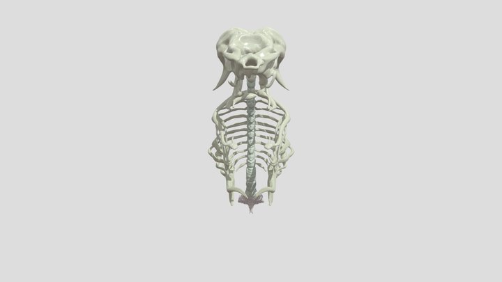 xtrux_bone 3D Model