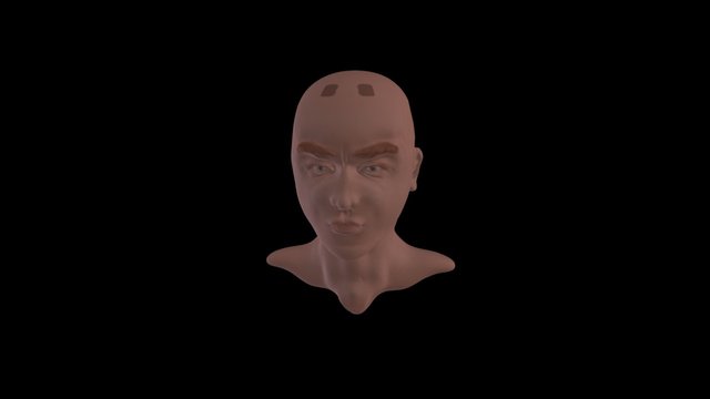Bust Male 3D Model