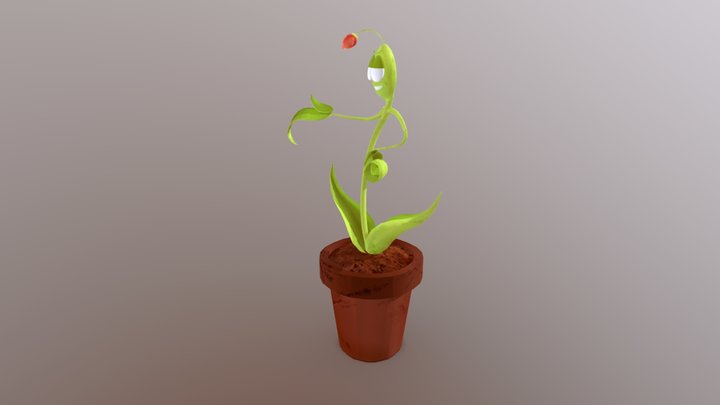 Tulipano 3D Model