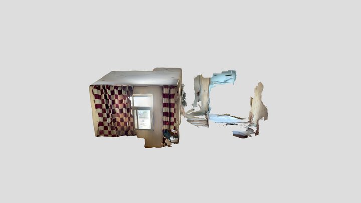 Untitled Scan 3D Model