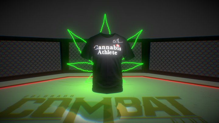 Elias Theodorou Fight T Shirt 3D Model