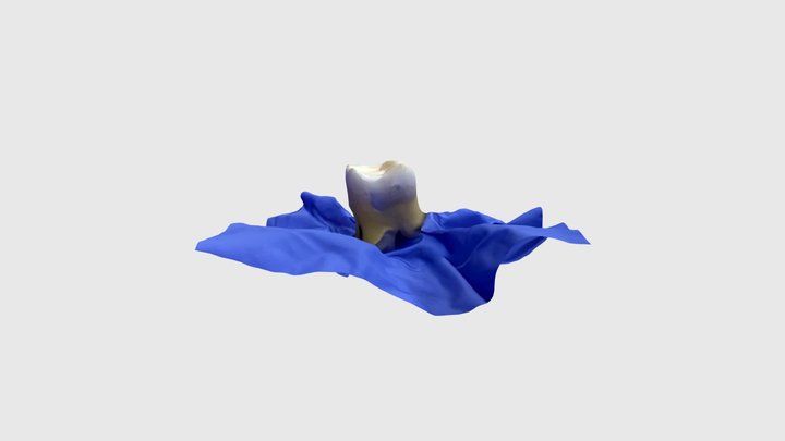 01 3D Model
