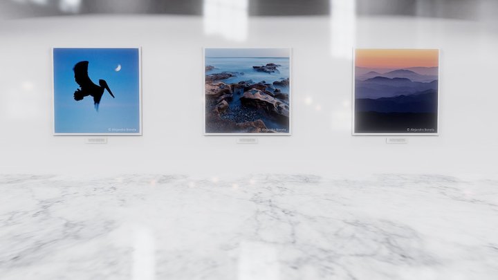 Instamuseum for @alexboneta 3D Model