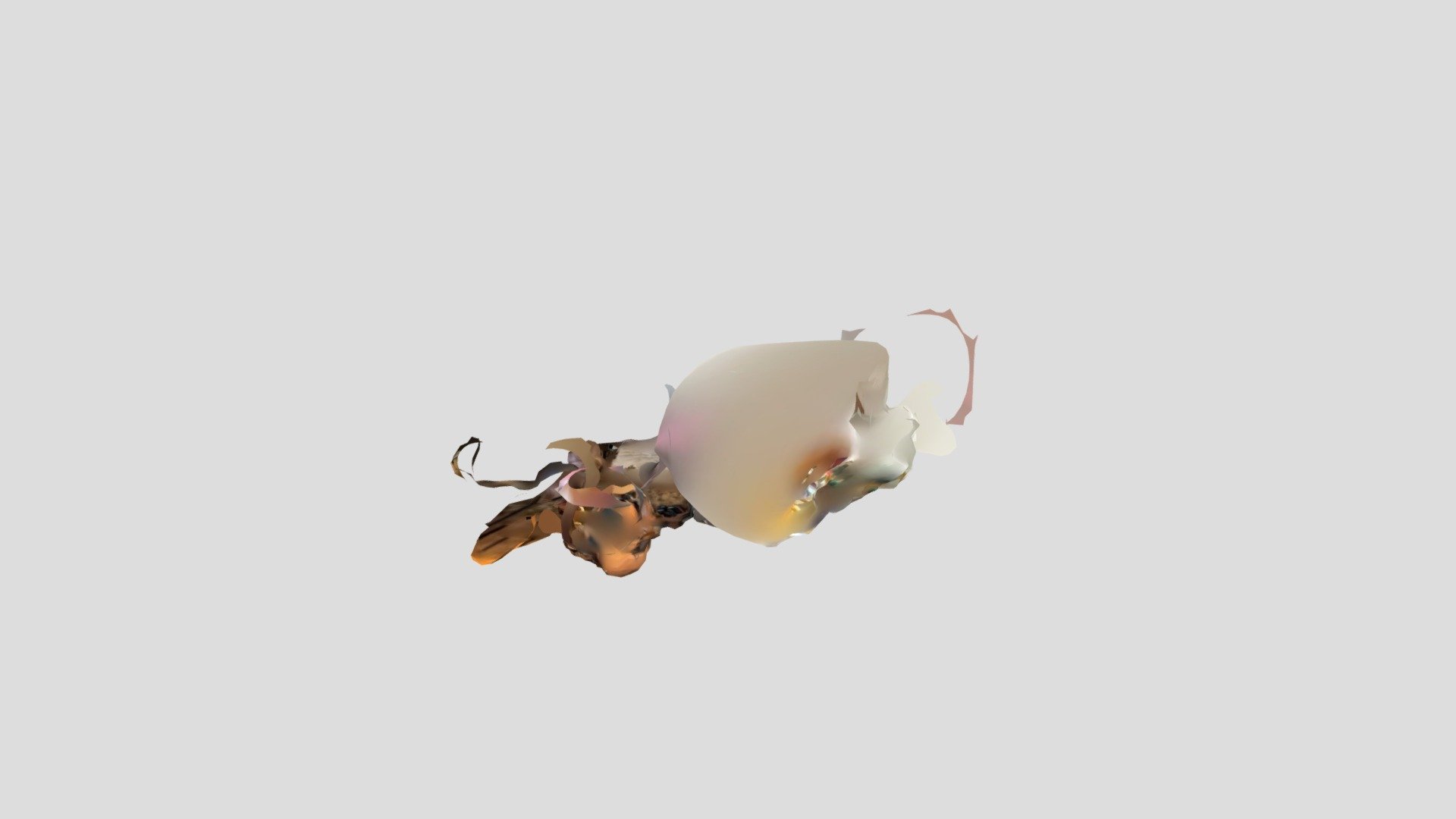Polycam capture