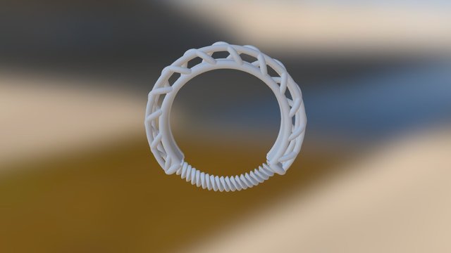 Spiral-ring-net 3D Model