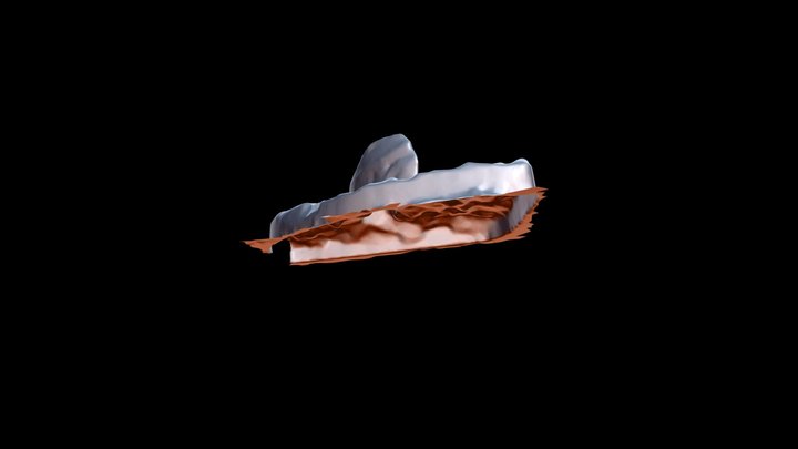Iguanodon tooth 3D Model