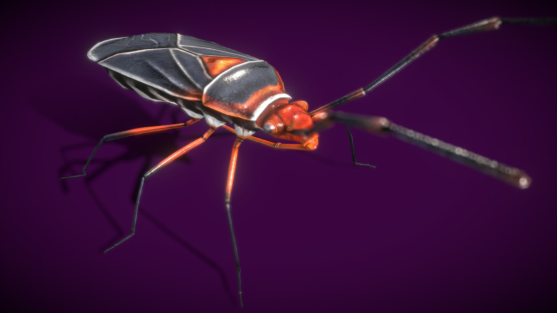 3D model Extra Beetle Lowpolys 3D - This is a 3D model of the Extra Beetle Lowpolys 3D. The 3D model is about a red and black insect.