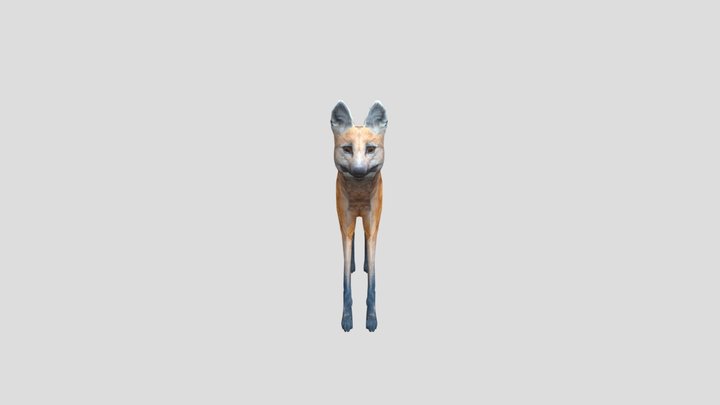 Maned_wolf 3D Model