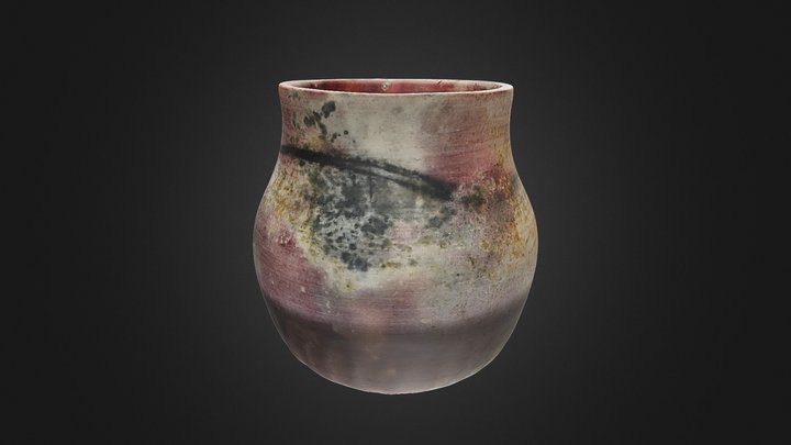 Pit Fired Pot by Peter DeWitt 3D Model