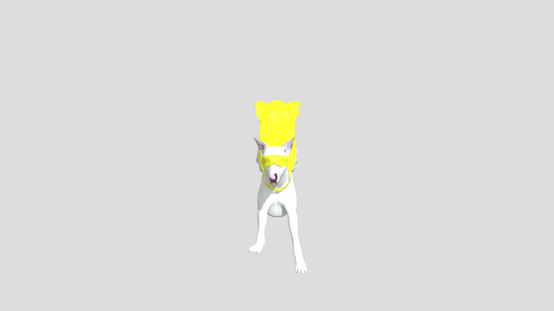 Wonder Pup Kade