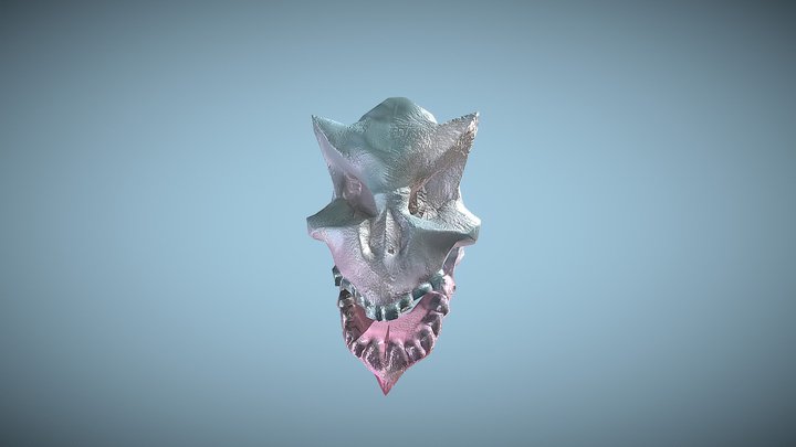 SkullImp 3D Model