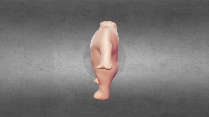 洪嘉呈 3D Model