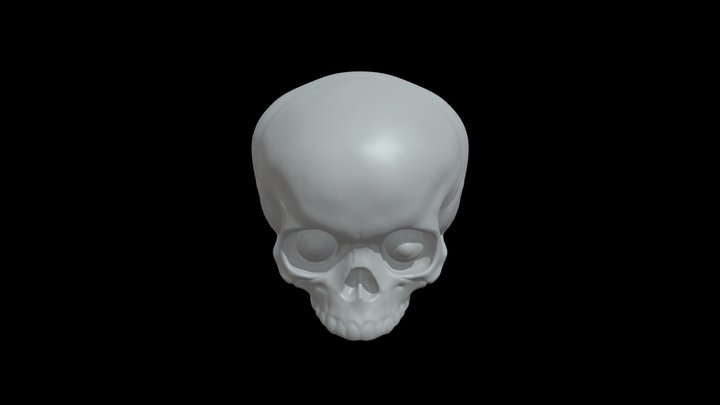 K anatomy practice 3D Model