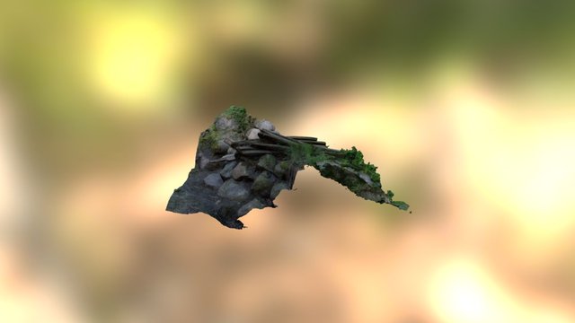 Hipoly 3D Model