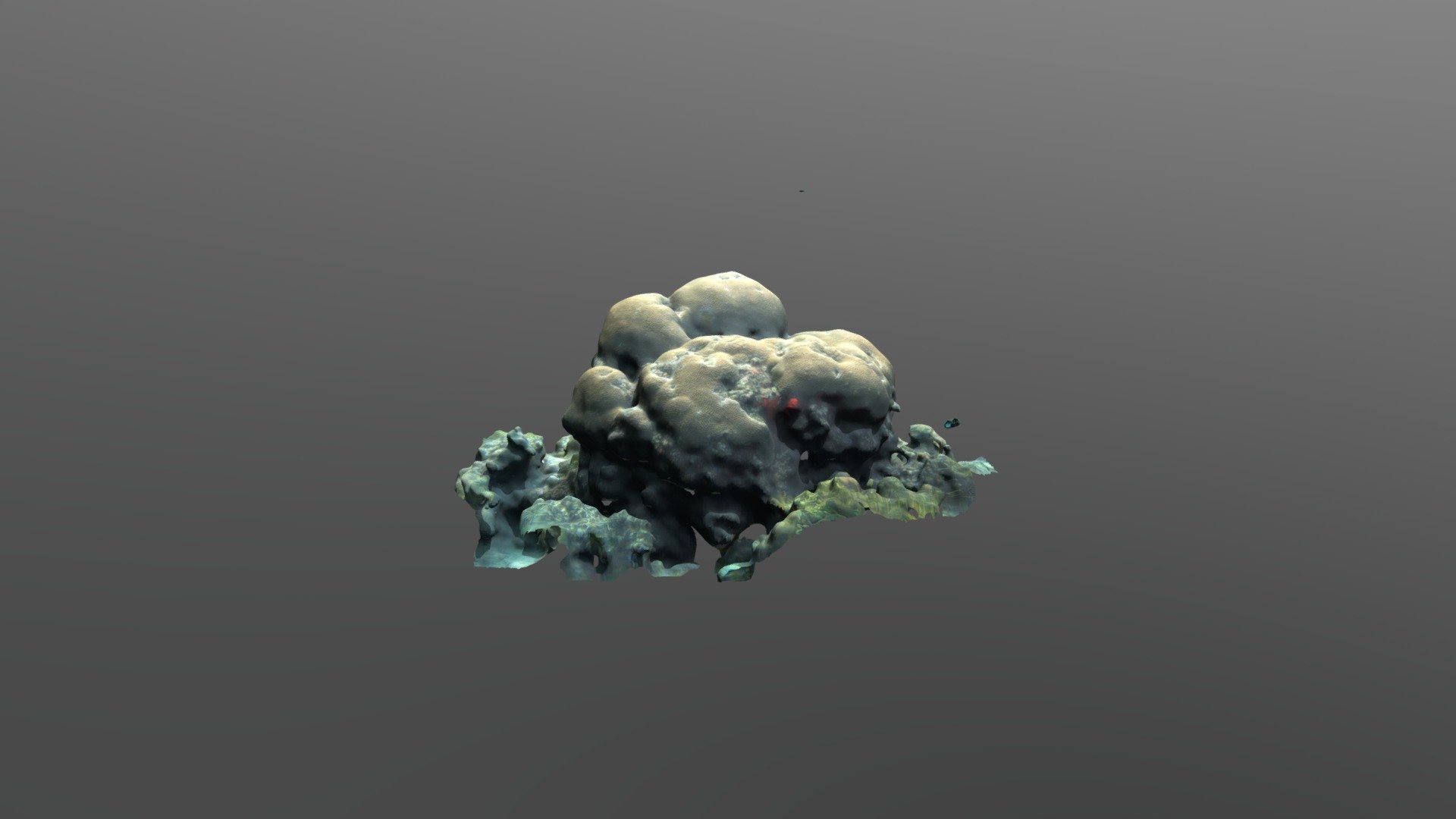 Diploastria - Coral Bommie