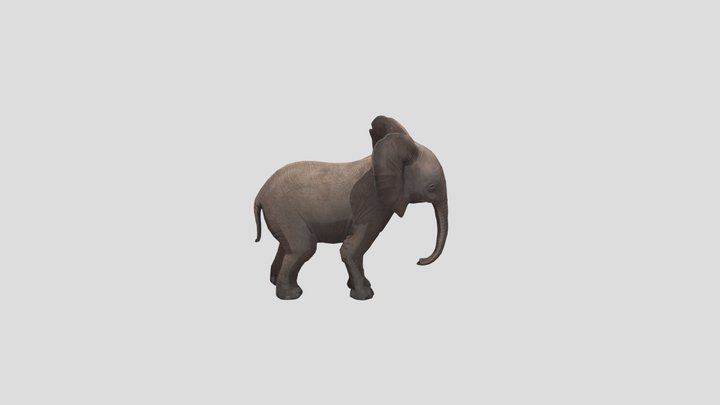 Baby Elephant GLB 3D Model
