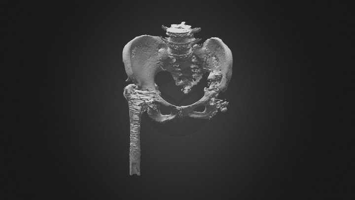 H. Irén 2018.10.19 3D Model