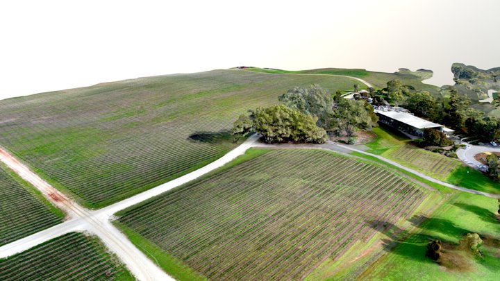 Vineyard 3D Model