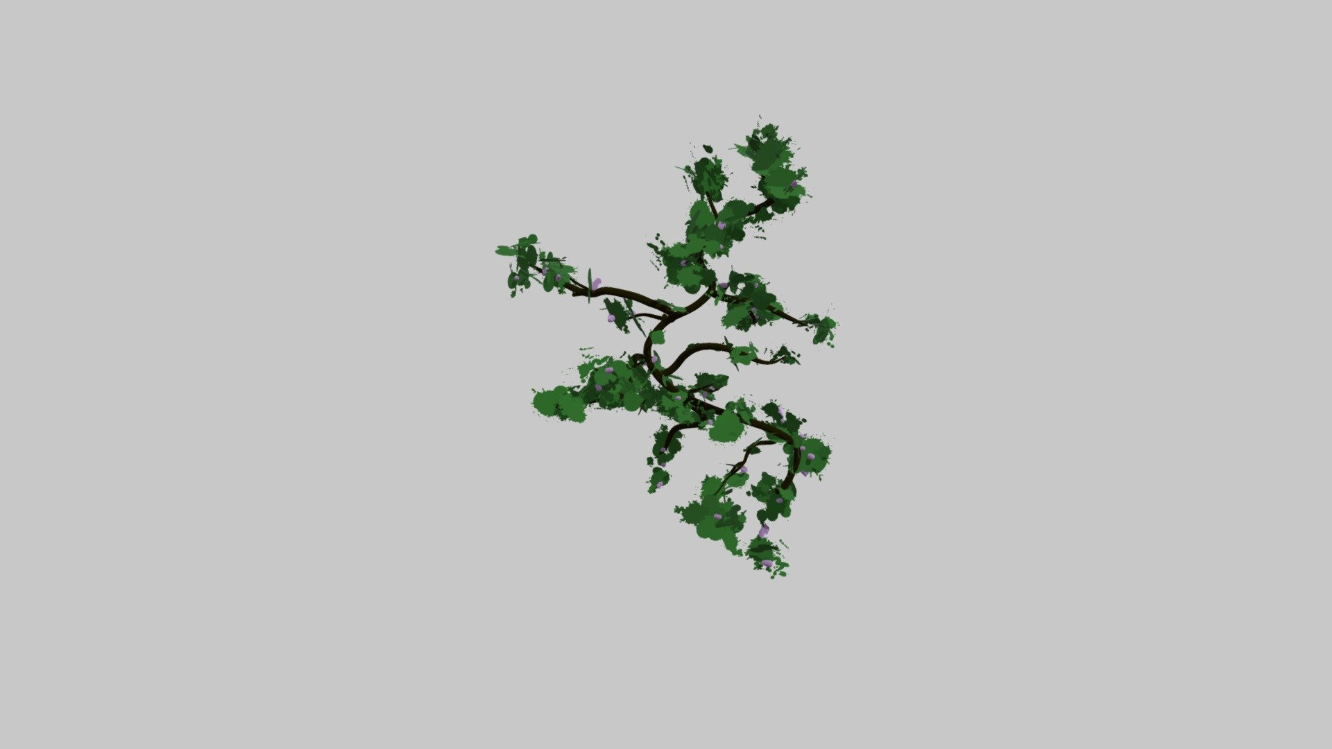plant 2