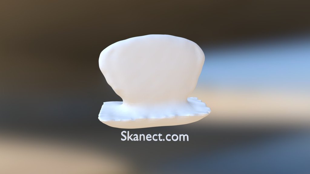 3D Scan_Sunglass Lense