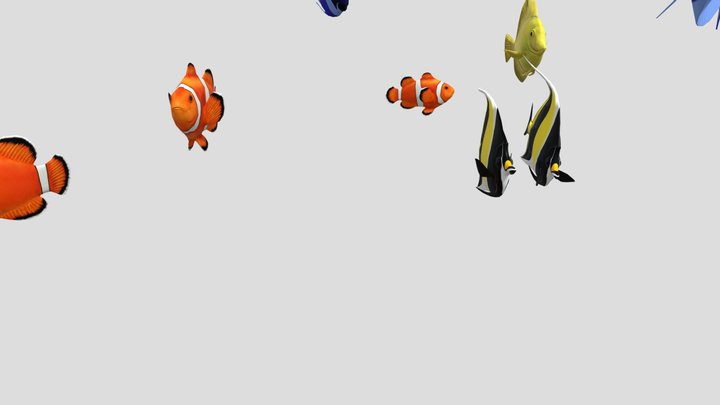 School of Fish 3D Animated Model 3D Model
